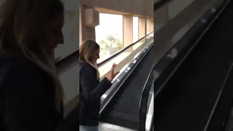 Capturan a dos argentinos por hurto de perfumes en un duty free de Foz de Iguazú, otros dos están huidos