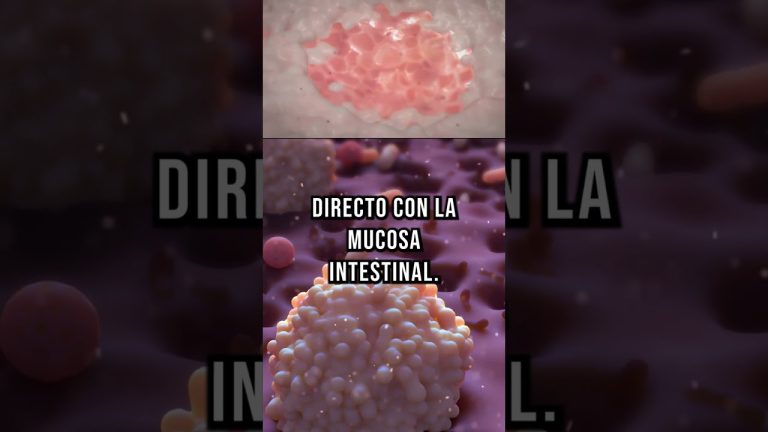 Controversia por el auge de retiros détox y reseteo intestinal: aumentan en redes, alertan sobre sus peligros