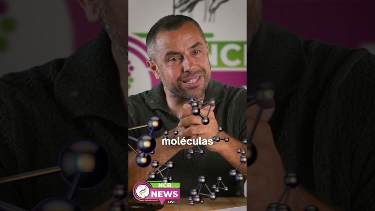 Descubren una nueva molécula intestinal que podría revolucionar el tratamiento de la aterosclerosis, dejando de lado el colesterol