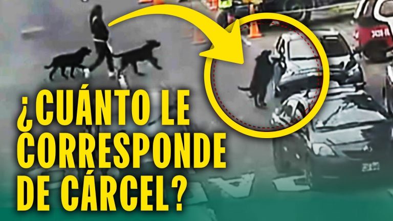 Disputa física entre vecinos de San Miguel debido a la desaparición de un perro, transmitido en vivo