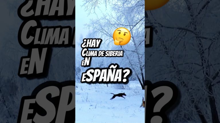 El clima se enfr&iacute;a en la ciudad: temperaturas bajas con m&iacute;nimas de 3 grados para las vacaciones invernales