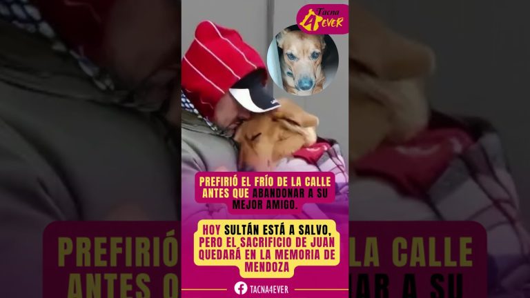 Encuentran el DNI y se despiden inesperadamente del hombre que falleció en la calle sin abandonar a su perro, &#8220;cuida de sultán