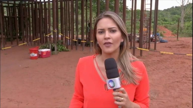 Encuentro inicial entre dos elefantas en el Mato Grosso: un fallido intento, tras un intercambio de trompazos y un valiente gesto exitoso