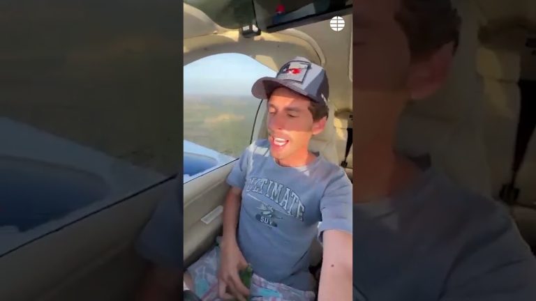 Extraño incidente en Chivilcoy: avioneta impacta con toro al aterrizar