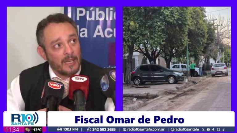 Fiscal investiga tragedia en La Plata: antecedentes de ataques de los perros involucrados