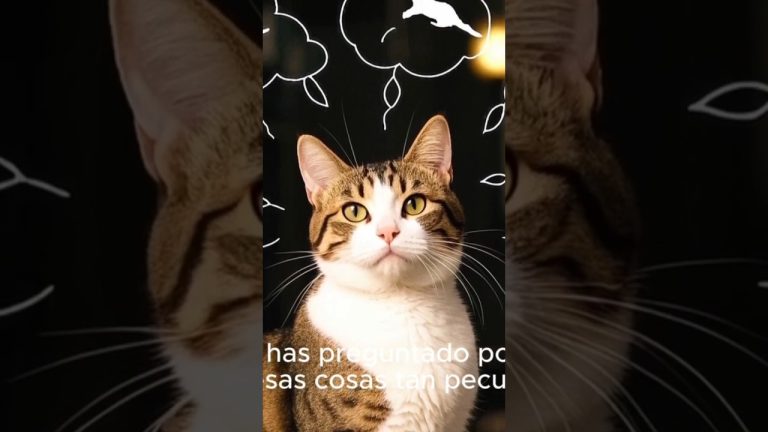 Gatos y literatura: una combinación irresistible para los amantes de ambos