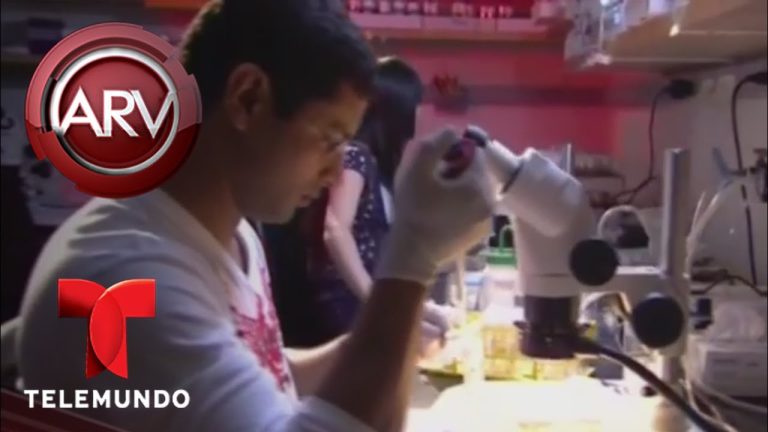 Implementan en la nación un tratamiento revolucionario para el cáncer mediante células genéticamente alteradas