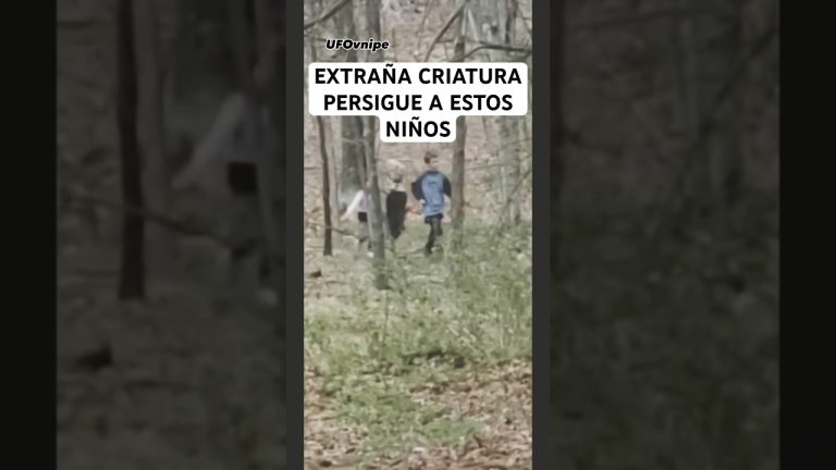 Más de 100 rescatistas, perros y drones participan en la búsqueda de un hombre desaparecido hace una semana en Córdoba