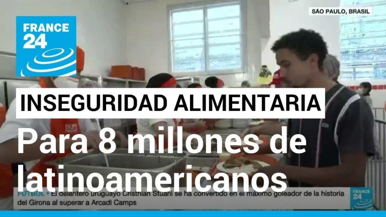 Millones de niños enfrentan inseguridad alimentaria, un dato alarmante preocupa más
