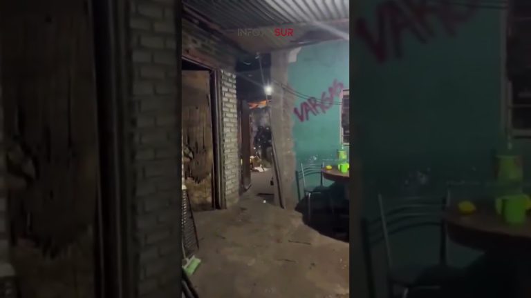 Mujer detenida tras soltar pitbulls para enfrentar a la policía durante un allanamiento domiciliario