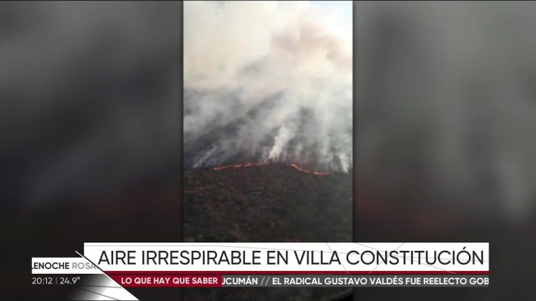 Nuevos incendios en islas del Paran&aacute; afectan a Rosario: “Origen humano confirmado