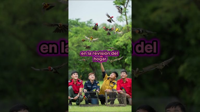 Rescatan a 200 animales, incluidos primates y aves, en condiciones insalubres en un operativo en La Plata