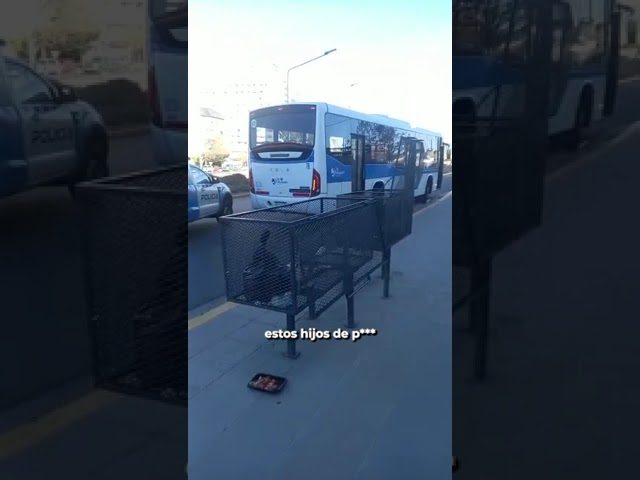 Un testigo describió el instante preciso del accidente de bus en Neuquén: “Fue una locura