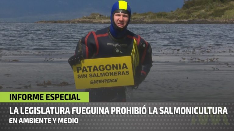 Controversia en Tierra del Fuego por plan para autorizar salmoneras