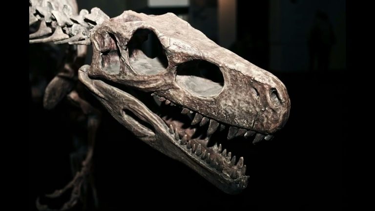 Descubren una inmensa cruz de vidrio molido y metales en el parque neuquino de los Dinosaurios