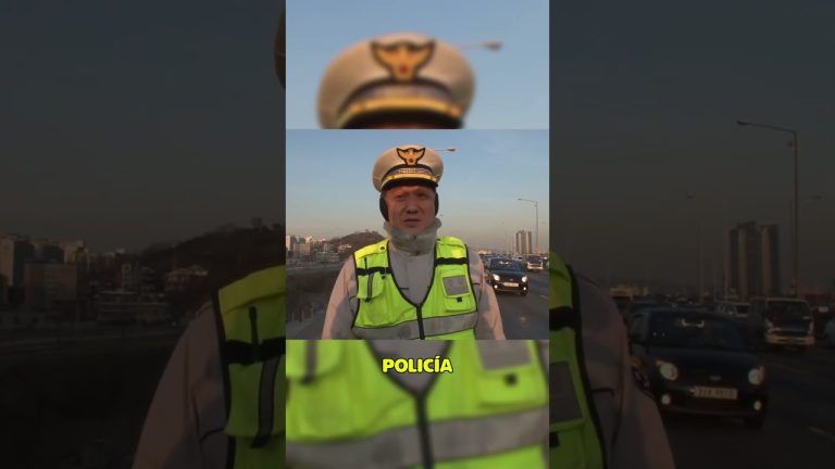 Gato rescatado tras pasar cinco días atrapado en un árbol gracias a la creatividad de los vecinos de Merlo