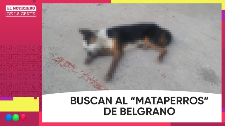 La ciudad investiga quién envenenó a mascotas en barrios de Belgrano y Las Cañitas