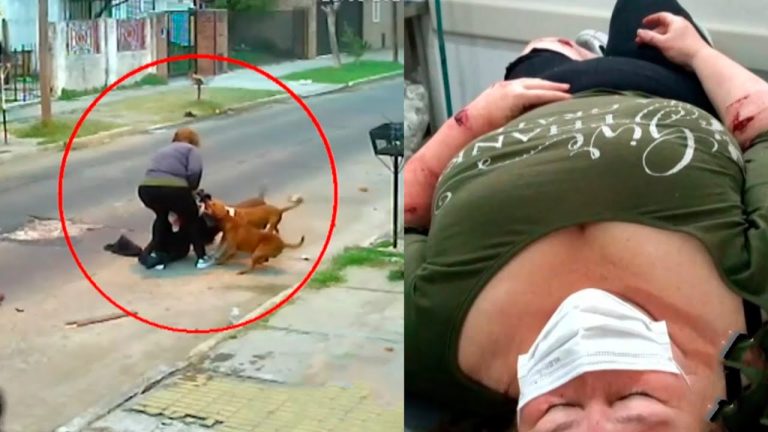 Neurocirujano sufre ataque de cinco pitbulls mientras entrenaba en conocido sitio turístico de Mendoza
