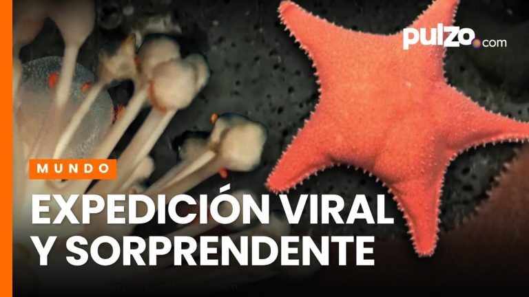 Transmisión subacuática: duración y 10 descubrimientos clave de la expedición científica en tendencia