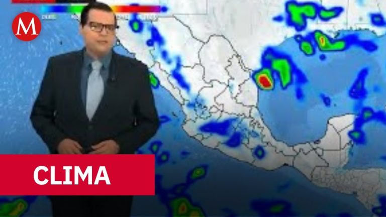 ¿Bajón de temperatura en el AMBA con pronóstico de lluvia?: el clima esperado para el Día del Niño.