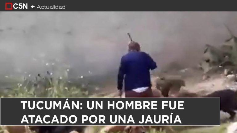 Adolescente herido por jauría tras presunto robo de cítricos en vivienda de Tucumán