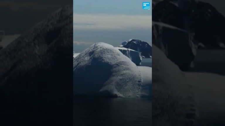 El mayor iceberg del planeta enfrenta un rápido derretimiento: pronto será irreconocible