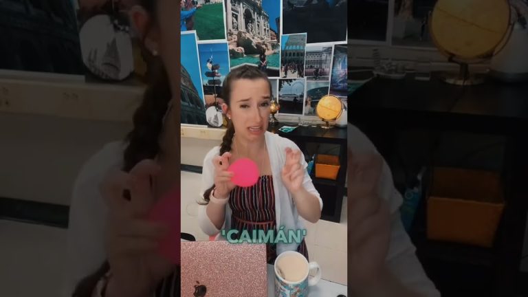 Nieto capta la difícil experiencia de una profesora mendocina con ayuda de una ONG estadounidense