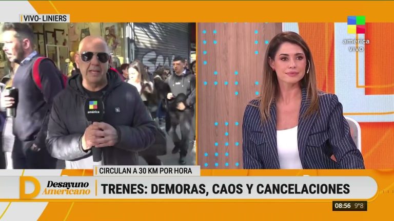 Nuevas suspensiones y retrasos en los trenes del área metropolitana por marcha de La Fraternidad