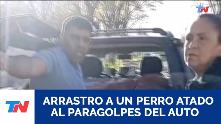 Perro amarrado a un coche en La Plata es rescatado tras viralización del video por vecinos.