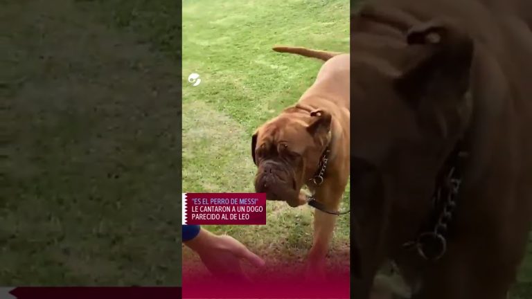 Una celebración significativa en el equipo editorial de Clarín.