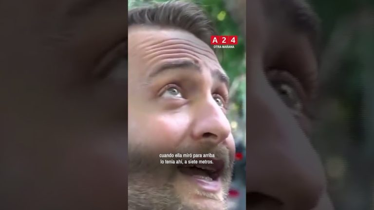 Detienen a un hombre en Palermo tras atacar a una joven madre judía con un objeto metálico por motivos antisemitas