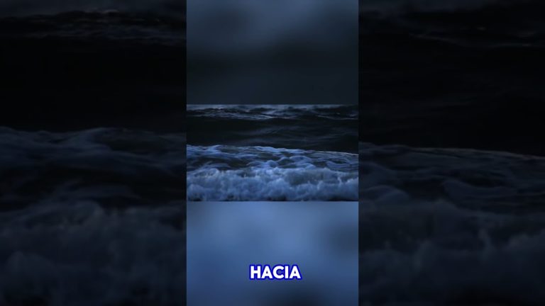 El servicio meteorológico nombra nuevo líder experto proveniente de Estados Unidos tras dos meses sin dirección