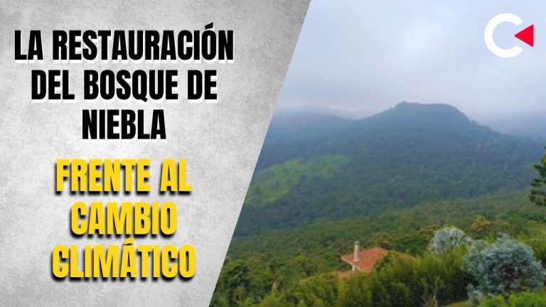 Grupo extraviado en área restringida del volcán Lanín enfrenta complicaciones climáticas para ser rescatado