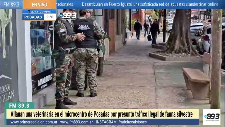 Hallazgo en veterinaria de Misiones: crueldad hacia animales y comercio ilegal de especies exóticas.