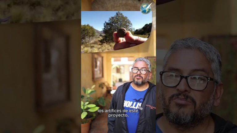 La SIP reconoce a periodistas de Clarín con premios de excelencia en periodismo 2025