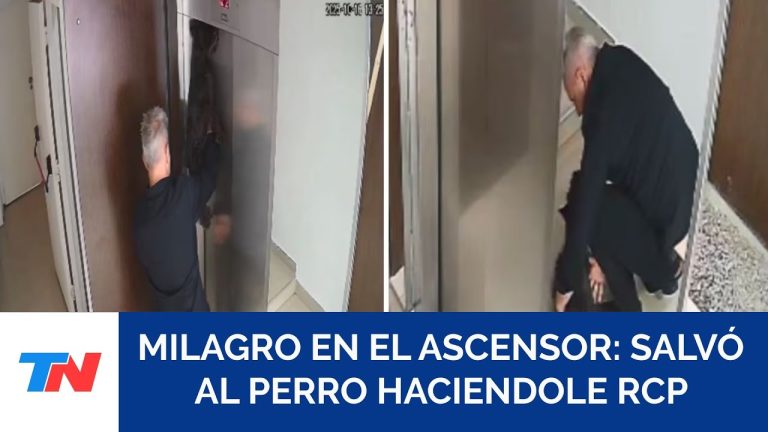 Rescate a un perro atrapado en un ascensor con RCP y compondrá una canción educativa