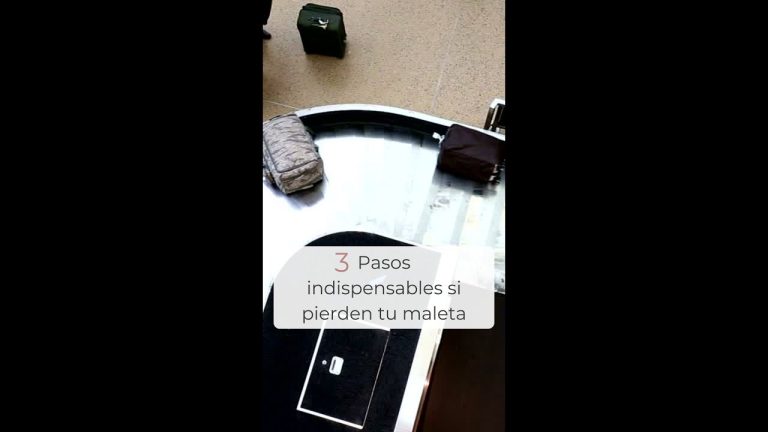 Sentencia equipara el valor de un perro al de una maleta si se pierde en un vuelo