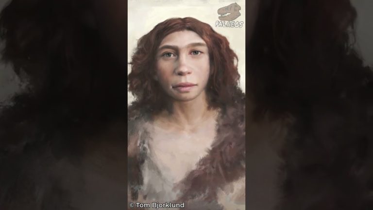 Seres híbridos con atributos humanos a gran escala