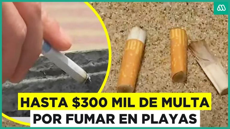 Costos de multas por fumar y arrojar colillas en playas sin humo en Mar del Plata.