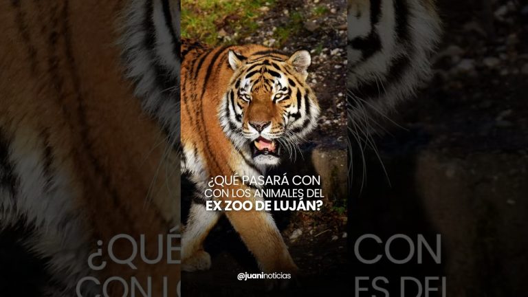 Estado actual del antiguo zoológico de Luján y nueva estrategia para rescatar fauna exótica.