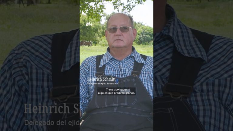 Familia menonita desaparecida tras intentar rescatar a joven que cayó en el agua en Río Negro