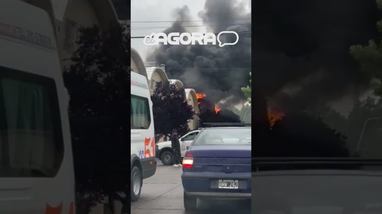incendio en hipermercado de bahía blanca afectado por inundación días antes de su reapertura