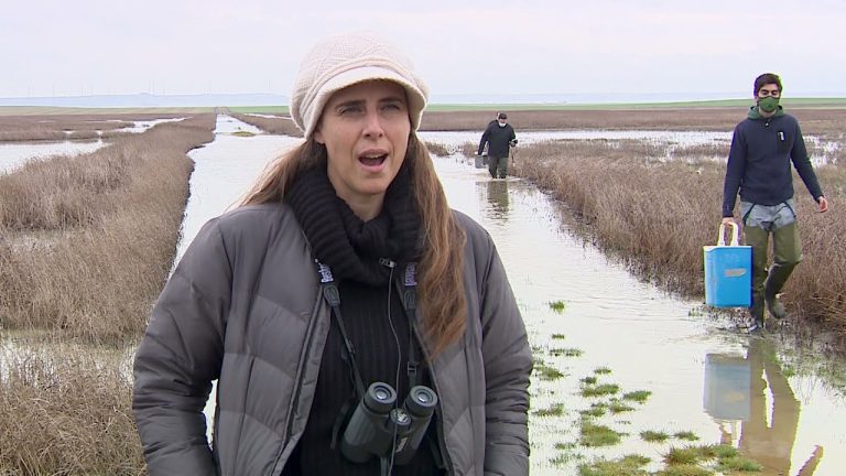 Los humedales, un recurso clave en la lucha contra el cambio climático