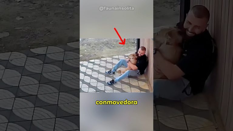 Perro llega a casa con bolsa de huesos y sospechan que pueden ser humanos: “Parecía un tatuaje