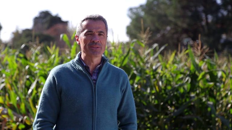 Reconocimiento a investigadora de Mar del Plata del Conicet por desarrollar cultivos que soportan altas temperaturas