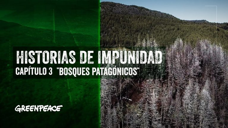 Restricción de fogatas en la Patagonia durante el verano: multas de hasta $150 millones por alto riesgo de incendios