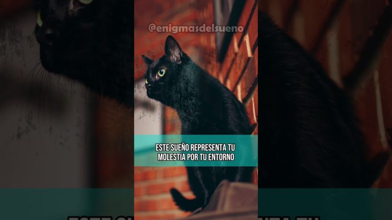 Adolescente toma el auto de su tía sin permiso, sufre accidente e hiere a dos personas al evitar atropellar a un gato negro en Pompeya