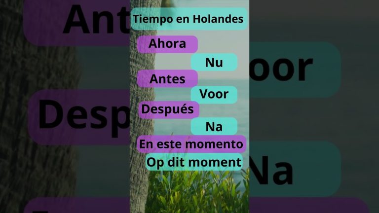 Aprender holand&eacute;s junto a mi padre: una forma de conectar apesar de las dificultades
