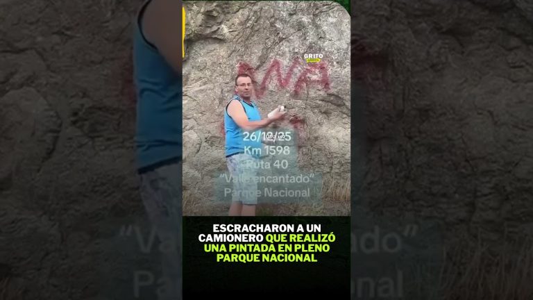 Camionero que da&ntilde;&oacute; piedras en parque pide perd&oacute;n por su error