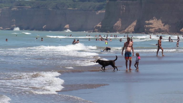 Descubren en la costa: turistas disfrutan de aguas cálidas y transparentes en Mar del Plata